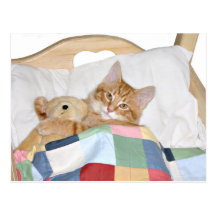Sommeil avec le nounours cartes postales