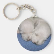 Sommeil de chiots de Westie Porte-clés