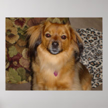 Sophie Posters