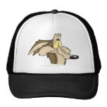 Sort malheureux d'E. Coyote Impending de Wile Casquettes De Camionneur