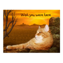 Souhait vous étiez ici minou cartes postales
