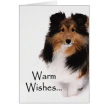 Souhaits chauds de Sheltie Cartes De Vœux
