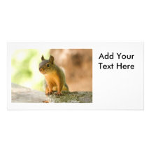 Sourire mignon d'écureuil cartes avec photo