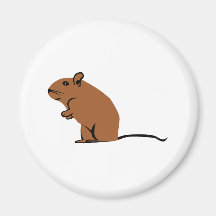 Souris Aimant Pour Réfrigérateur