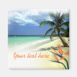 Souvenir hawaïen jamaïcain tropical de faveur de m magnets