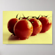 SPE de NRI de tomate Poster