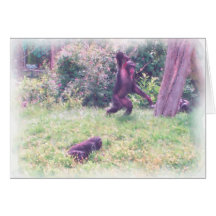 Speelse Chimpansees Kaart