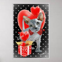 Sphynx une boîte d'affiche de coeur