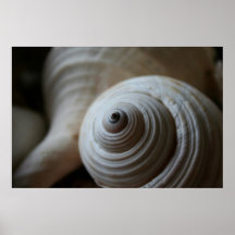 Spiralen Poster