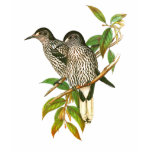 Spotted Nutcracker T Shirts