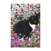 Sproeten in Bloemen II - de Kat van het Kat van de Stretched Canvas Afdrukken