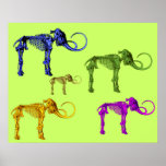 Squelettes gigantesques colorés multi poster