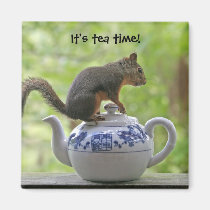 Squirrel and Teapot magnets