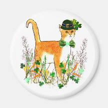 St. Patrick de Kat van de Dag Koelkast Magneten