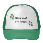 st. patricks dagpet