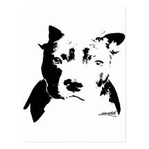 stafff design carte postale