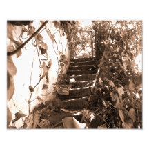Stairs Photo