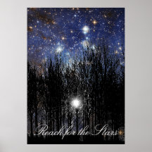 Starscape et arbres : Portée - affiche