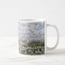 Sternes, sternes, sternes… tasse