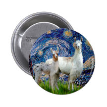 Sterrige Nacht met Twee Lama's Buttons