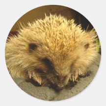 sticker "egel "