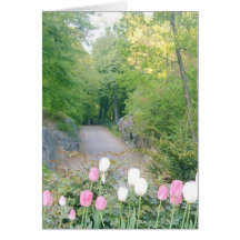 Strawberry Fields, Central Park Cartes De Vœux