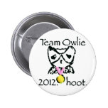 substance du ravvie teamowlie2012 pin's