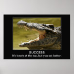 Succès ! posters