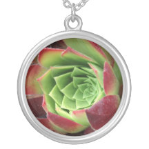 Succulent Kettingen