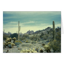 Sud-ouest de désert de l'Arizona Cartes De Vœux
