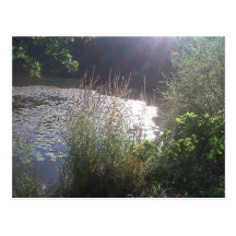 Summer lake carte postale