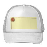 Sun en bronze sur l'arrière - plan crème casquettes de camionneur