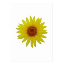 Sunflower - Tournesol (01) Modèles De Cartes De Visite