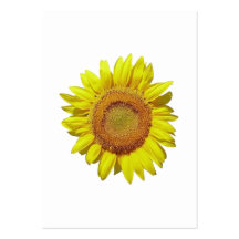 Sunflower - Tournesol (02) Modèles De Cartes De Visite