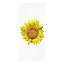 Sunflower - Tournesol (02) Cartes Doubles Customisables