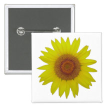 Sunflower - Tournesol (03) Badges Avec Agrafe