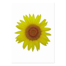 Sunflower - Tournesol (03) Carte De Visite