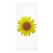 Sunflower - Tournesol (03) Carte Double Customisable