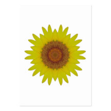 Sunflower - Tournesol (04) Carte De Visite