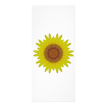 Sunflower - Tournesol (04) Modèle De Double Carte