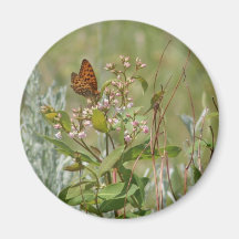 Sur des ailes d'un papillon aimants pour réfrigérateur
