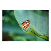 Sur le bord photos