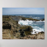 Surf d'Aruban Poster