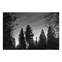 Surreal Bezinningen Fotoafdrukken