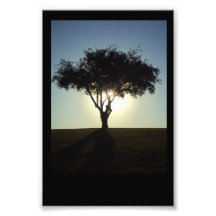 Surreal Boom Foto Prints