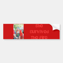 Survécu Adhésifs Pour Voiture