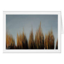 Swampgrass (2) carte