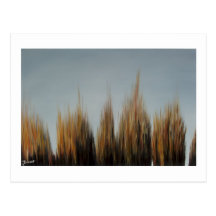 Swampgrass (2) cartes postales
