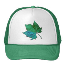 Sycomore bleu casquette de camionneur