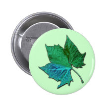 Sycomore bleu pin's avec agrafe